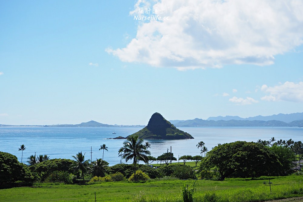 夏威夷｜追星、被恐龍追都不能錯過的古蘭尼牧場一日遊（Kualoa Ranch） - nurseilife.cc