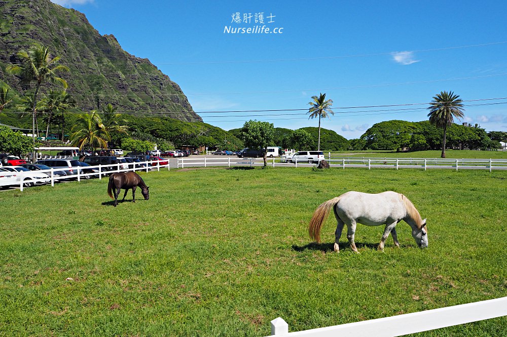 夏威夷｜追星、被恐龍追都不能錯過的古蘭尼牧場一日遊（Kualoa Ranch） - nurseilife.cc