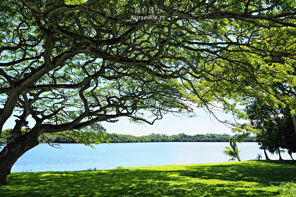 夏威夷｜追星、被恐龍追都不能錯過的古蘭尼牧場一日遊（Kualoa Ranch） - nurseilife.cc