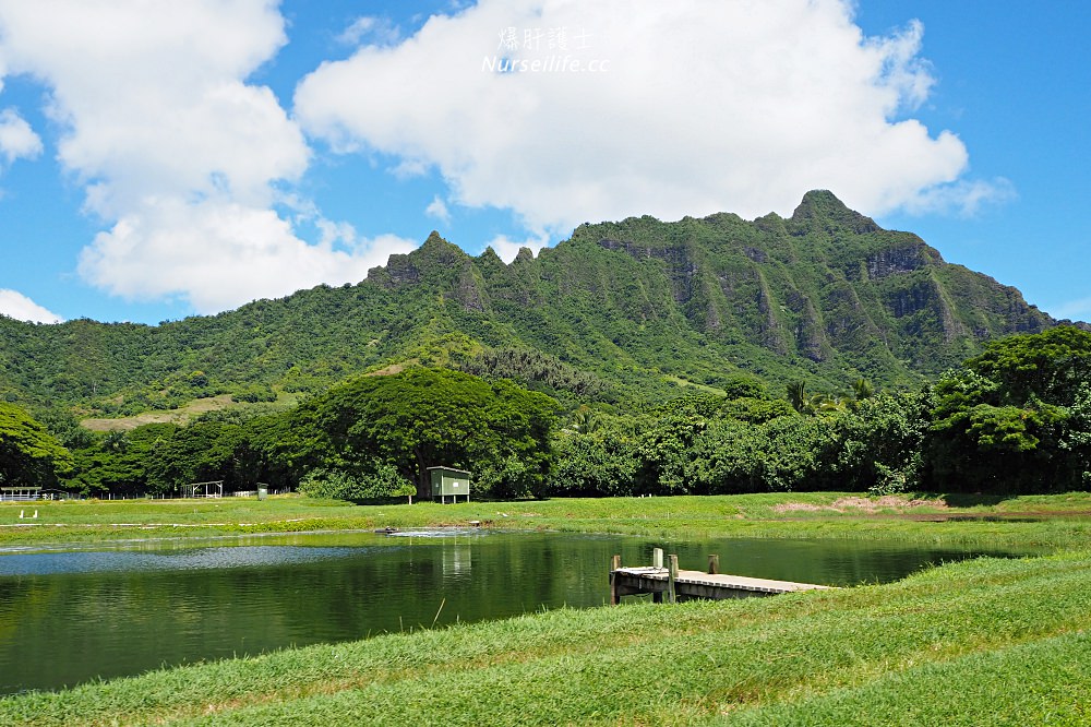 夏威夷｜追星、被恐龍追都不能錯過的古蘭尼牧場一日遊（Kualoa Ranch） - nurseilife.cc