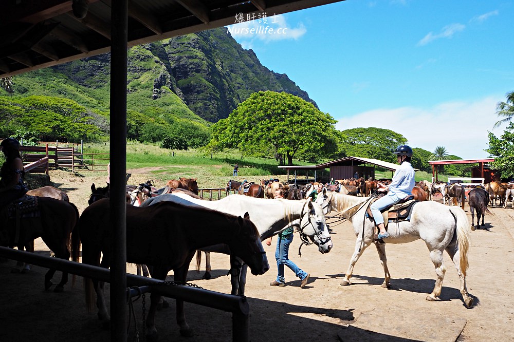 夏威夷｜追星、被恐龍追都不能錯過的古蘭尼牧場一日遊（Kualoa Ranch） - nurseilife.cc