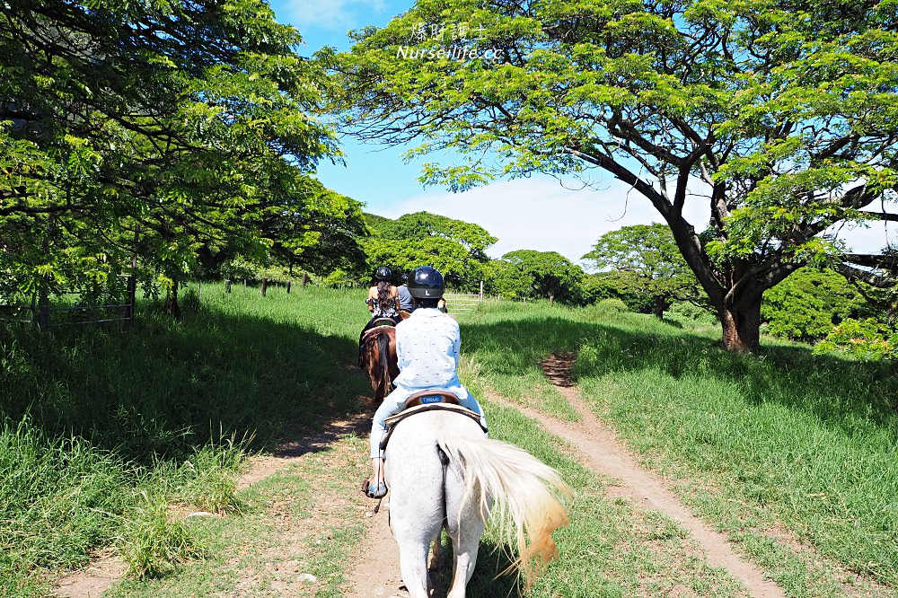 夏威夷｜追星、被恐龍追都不能錯過的古蘭尼牧場一日遊（Kualoa Ranch） - nurseilife.cc