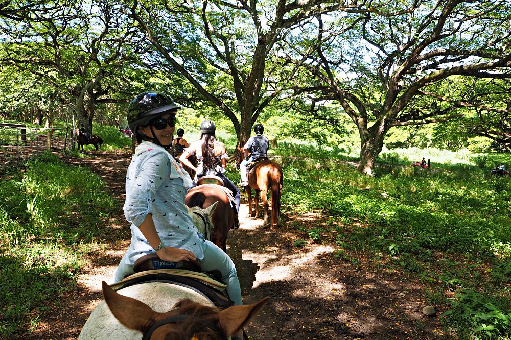 夏威夷｜追星、被恐龍追都不能錯過的古蘭尼牧場一日遊（Kualoa Ranch） - nurseilife.cc