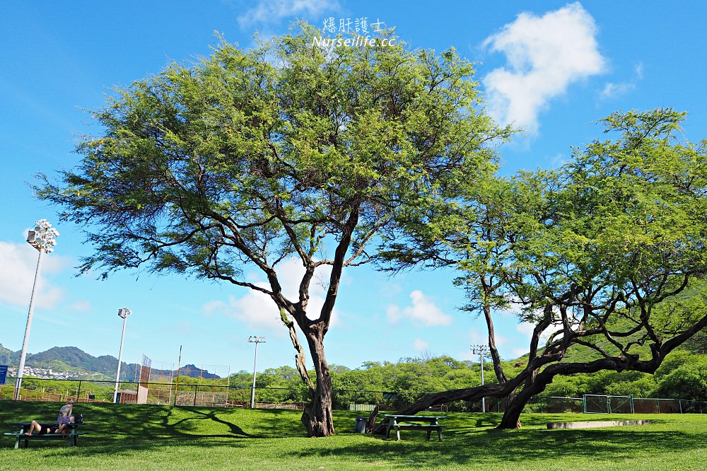 夏威夷 Koko Head 穿梭在地獄與天堂的健行步道 - nurseilife.cc