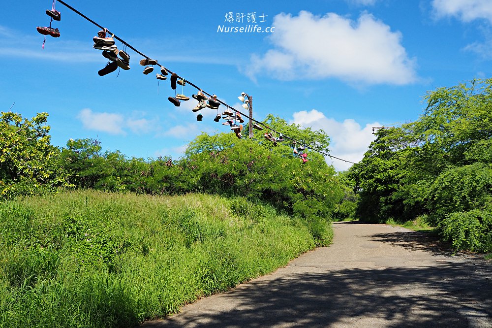 夏威夷 Koko Head 穿梭在地獄與天堂的健行步道 - nurseilife.cc