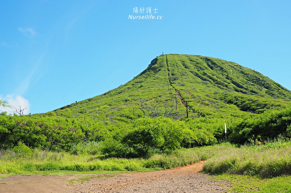 夏威夷 Koko Head 穿梭在地獄與天堂的健行步道 - nurseilife.cc