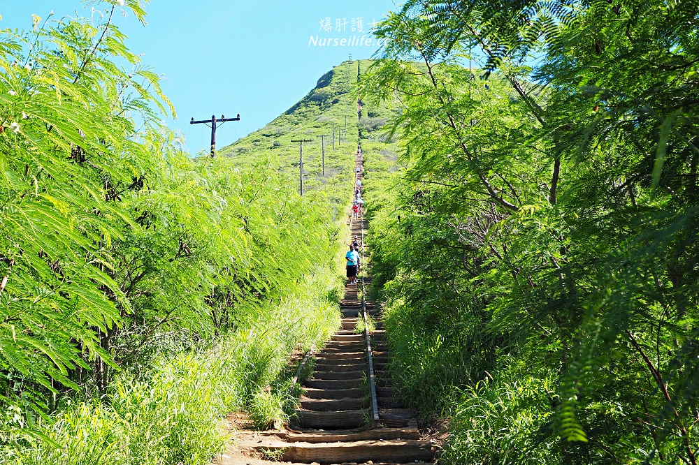 夏威夷 Koko Head 穿梭在地獄與天堂的健行步道 - nurseilife.cc