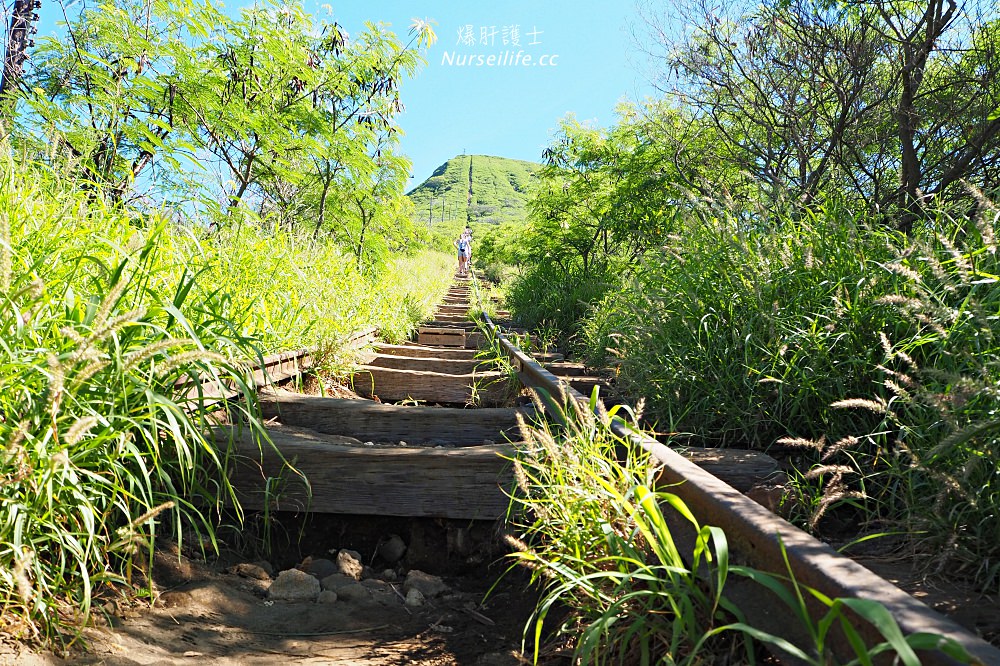 夏威夷 Koko Head 穿梭在地獄與天堂的健行步道 - nurseilife.cc