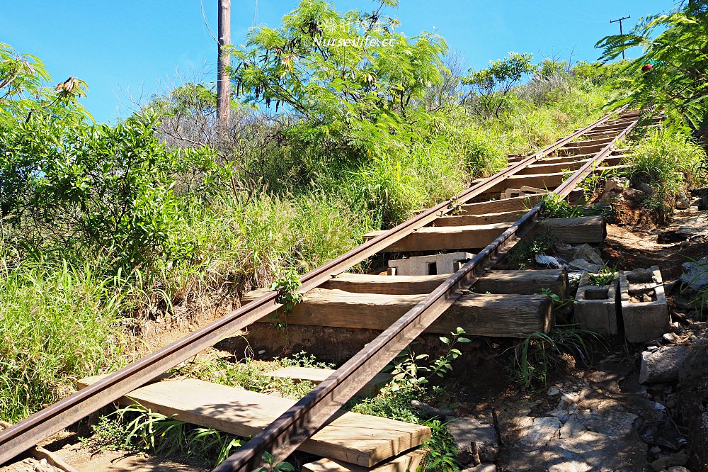 夏威夷 Koko Head 穿梭在地獄與天堂的健行步道 - nurseilife.cc