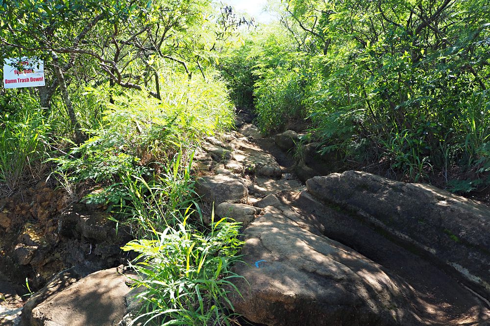 夏威夷 Koko Head 穿梭在地獄與天堂的健行步道 - nurseilife.cc