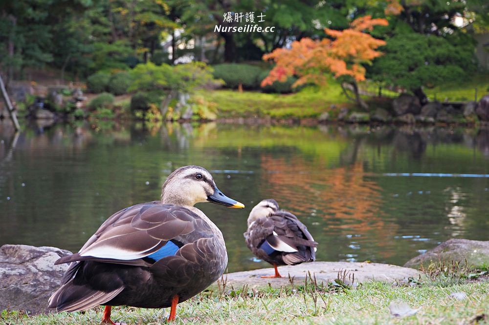 會津若松．福島的神鬼景點之旅 - nurseilife.cc