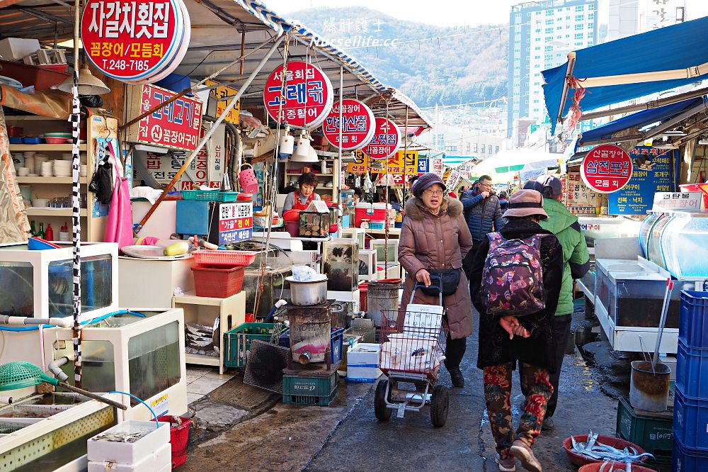 釜山｜札嘎其海鮮市場 자갈치시장．不會韓文小心被騙 - nurseilife.cc