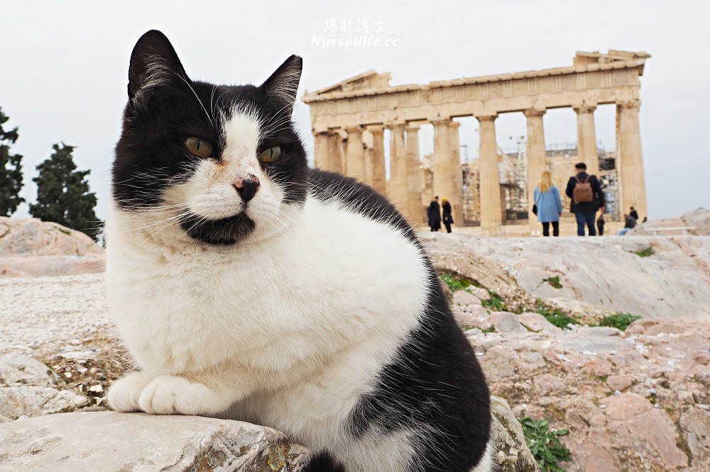 希臘｜雅典衛城 Acropolis of Athens 帕德嫩神殿．雅典娜我來了！ - nurseilife.cc