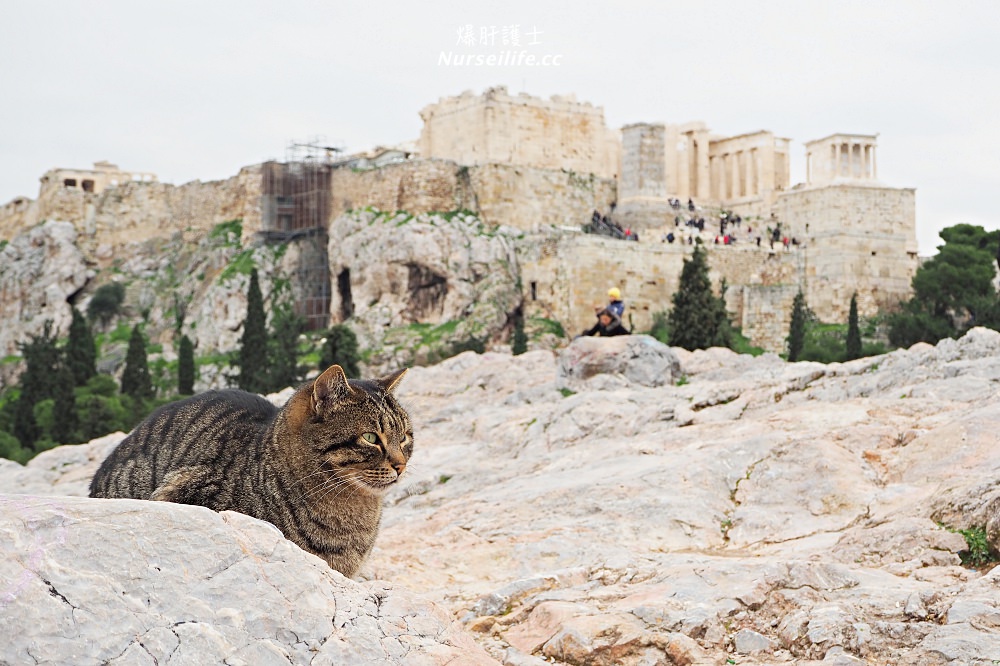 希臘｜雅典衛城 Acropolis of Athens 帕德嫩神殿．雅典娜我來了！ - nurseilife.cc