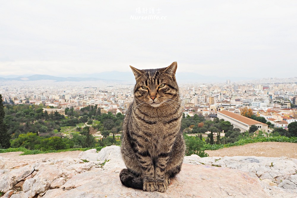 希臘｜雅典衛城 Acropolis of Athens 帕德嫩神殿．雅典娜我來了！ - nurseilife.cc