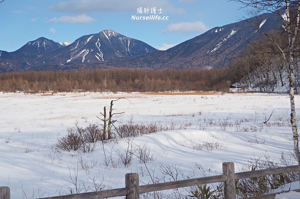 枥木｜在地人帶路！暢遊日光秘境景點與私藏美食的一日遊行程 - nurseilife.cc