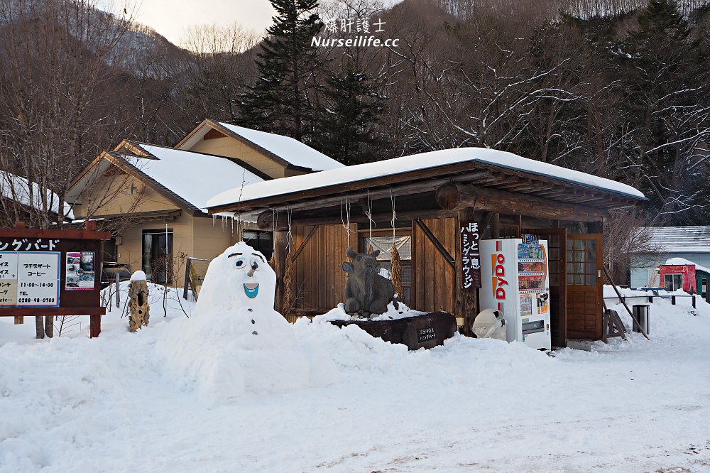 東武鐵道日光周遊券搭鬼怒川大樹 SL蒸氣火車．暢遊湯西川溫泉浪漫雪祭 - nurseilife.cc