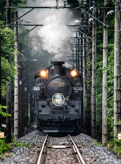 東武鐵道日光周遊券搭鬼怒川大樹 SL蒸氣火車．暢遊湯西川溫泉浪漫雪祭 - nurseilife.cc