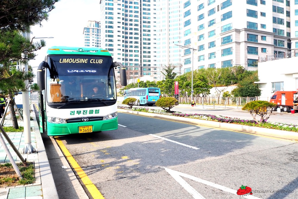 釜山｜五六島天空步道．跟著韓國綜藝一起探訪釜山景點 - nurseilife.cc