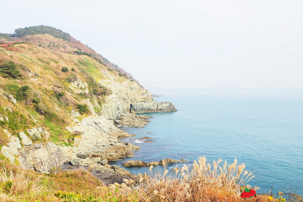 釜山｜五六島天空步道．跟著韓國綜藝一起探訪釜山景點 - nurseilife.cc