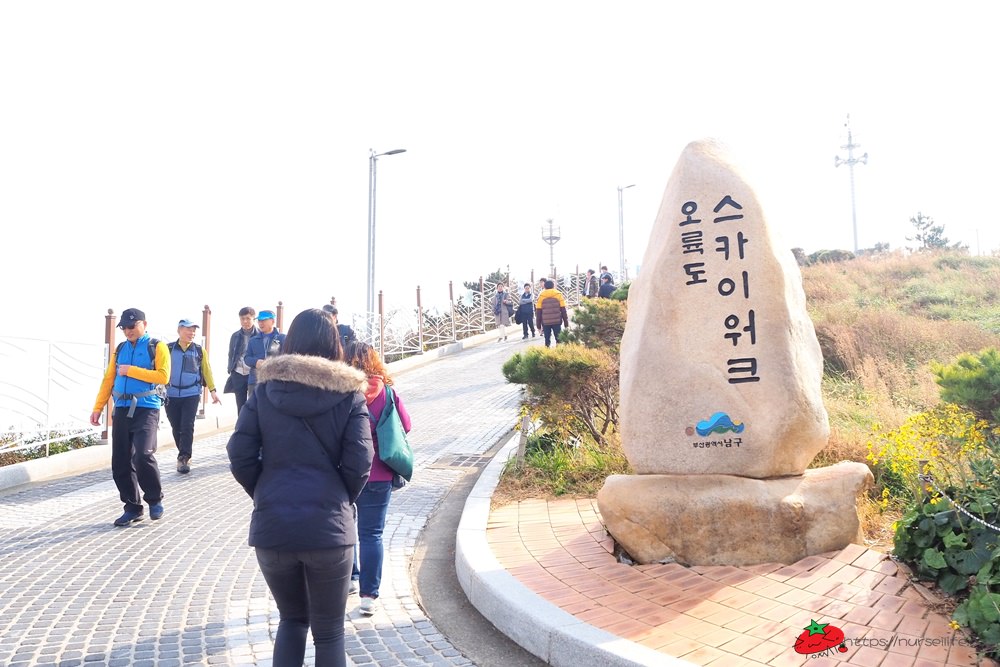 釜山｜五六島天空步道．跟著韓國綜藝一起探訪釜山景點 - nurseilife.cc