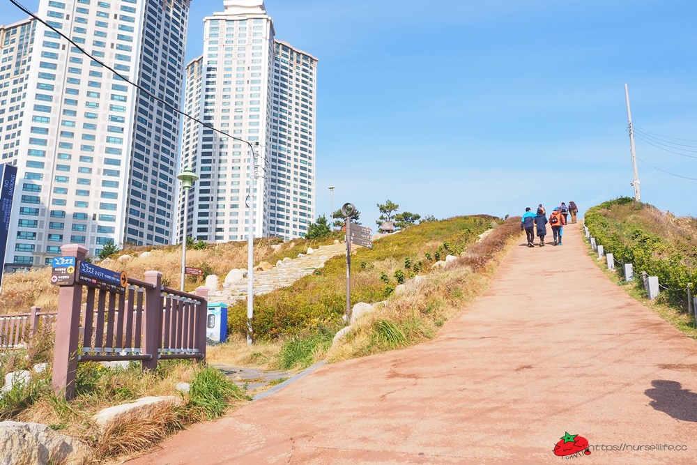 釜山｜五六島天空步道．跟著韓國綜藝一起探訪釜山景點 - nurseilife.cc