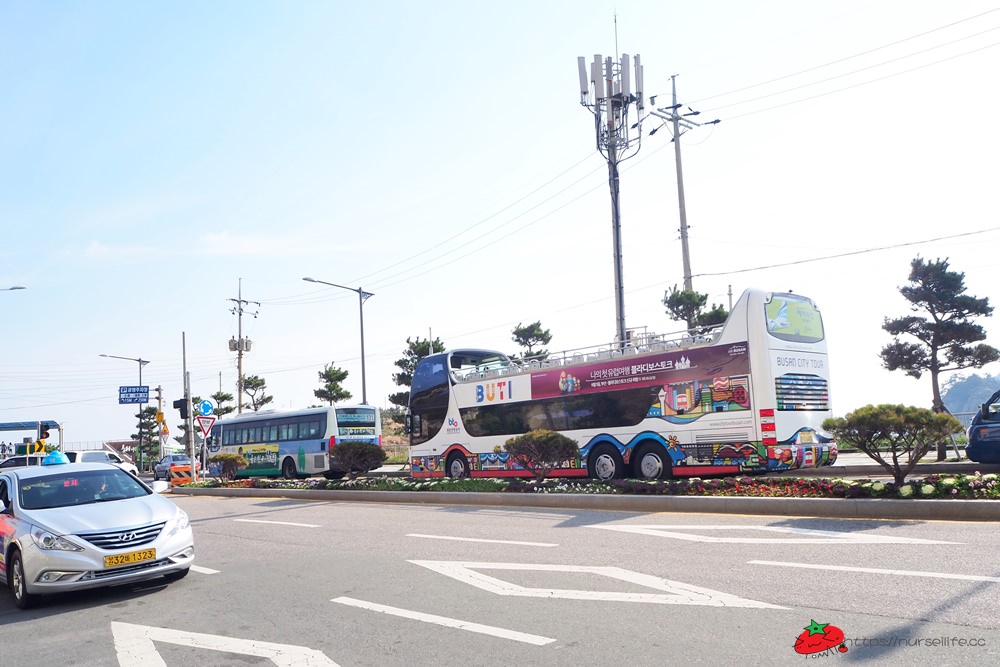 釜山｜五六島天空步道．跟著韓國綜藝一起探訪釜山景點 - nurseilife.cc