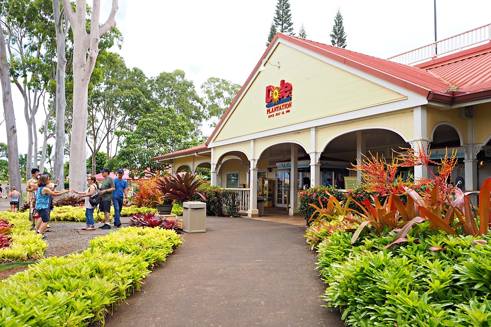 夏威夷｜Dole Plantation都樂鳳梨園．鳳梨主題樂園 - nurseilife.cc