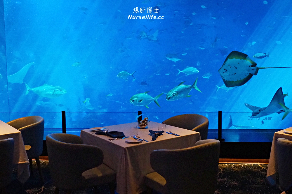 海洋控不能錯過！新加坡聖淘沙名勝世界海之味水族館餐廳及海景套房 - nurseilife.cc