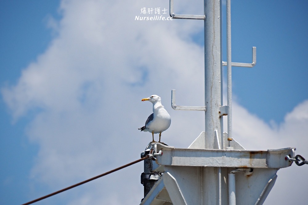 土耳其之旅｜穿越達達尼爾海峽由歐洲前往亞洲特洛伊遺址 - nurseilife.cc