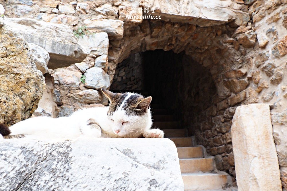 土耳其｜艾菲索斯/以弗所遺址Ephesus．世界十大古蹟的文化遺產之旅 - nurseilife.cc