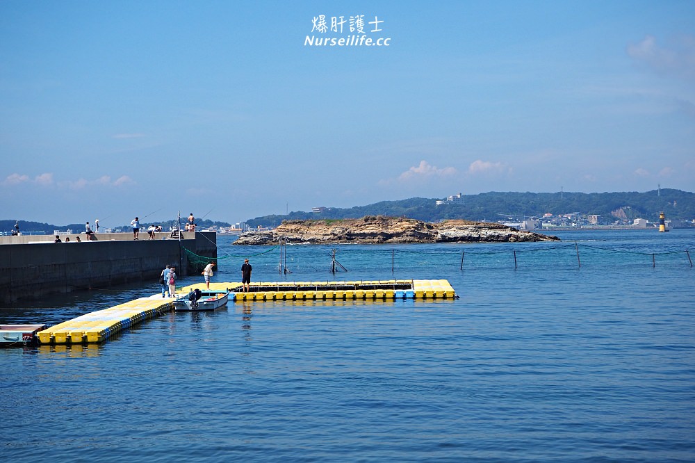 日間賀島的景點與交通．來趟名古屋的離島渡假之旅享受章魚海鮮大餐 - nurseilife.cc