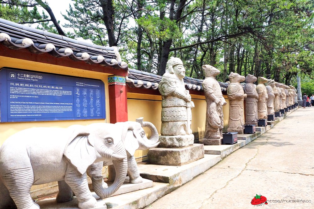 釜山｜無敵海景的海東龍宮寺．韓國三大觀音聖地之一 - nurseilife.cc