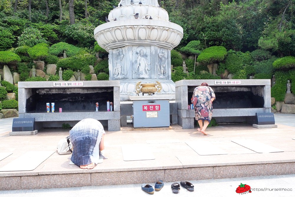 釜山｜無敵海景的海東龍宮寺．韓國三大觀音聖地之一 - nurseilife.cc