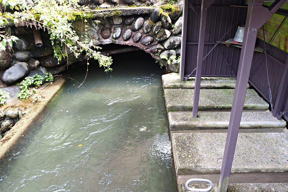 郡上八幡城下町散策：體驗食物模型的發源地，原來日本的中元普渡超歡樂！ - nurseilife.cc