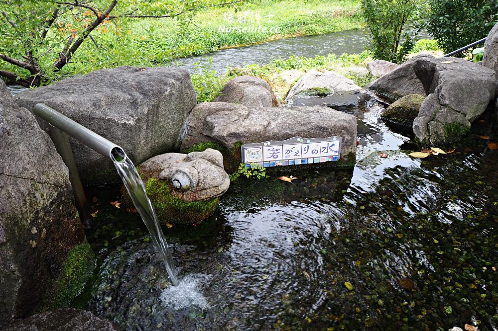 松本散策：信每媒體花園、信州プリン工房、青蛙街（かえる通）、四柱神社、松本城 - nurseilife.cc