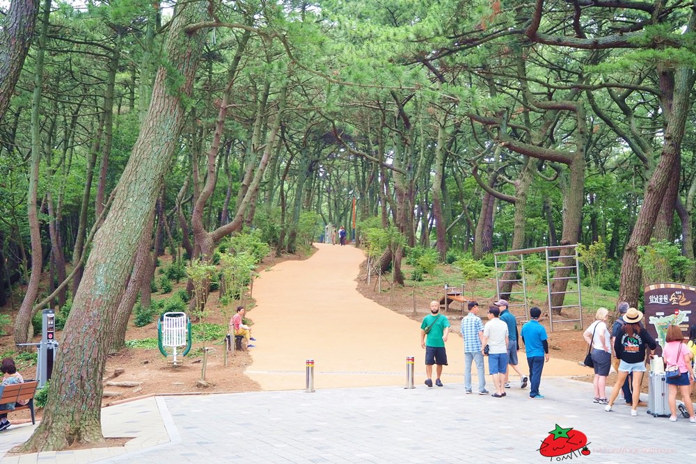 釜山松島海水浴場：最美麗的海岸散策，纜車、散步路一次攻略！ - nurseilife.cc