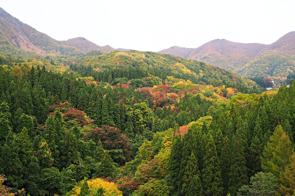 山形｜鴫の谷地沼．藏王溫泉的天空之鏡 - nurseilife.cc