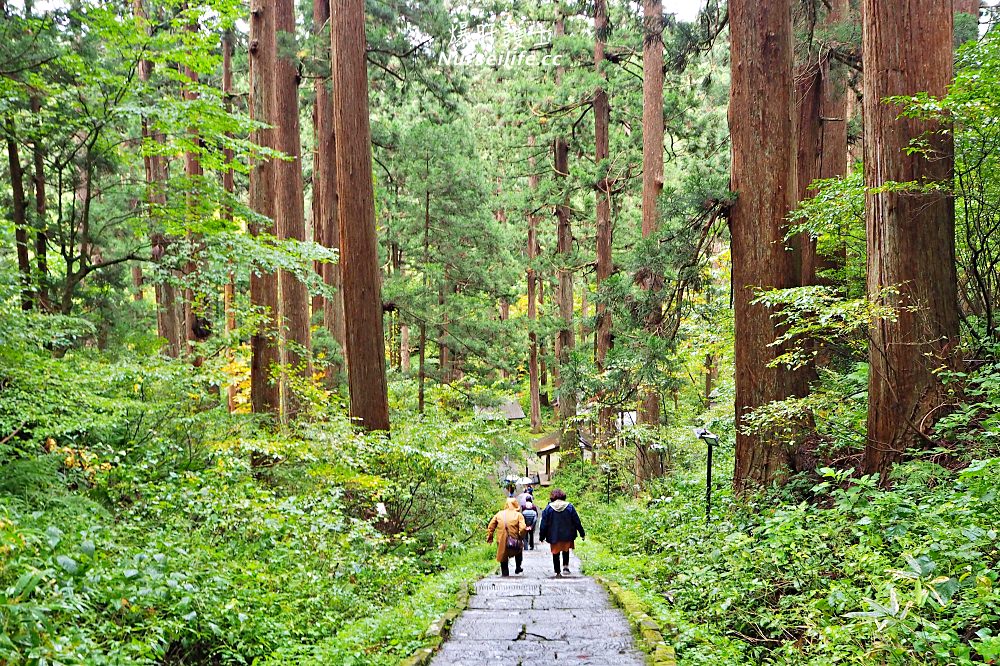 山形｜羽黑山五重塔．米其林三星的參拜林道 - nurseilife.cc