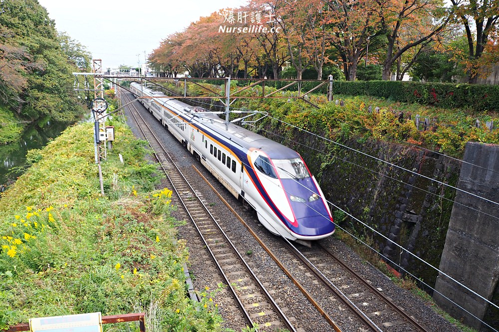 山形｜到霞城公園看紅葉？不，舊濟生館才是有趣的地方！ - nurseilife.cc