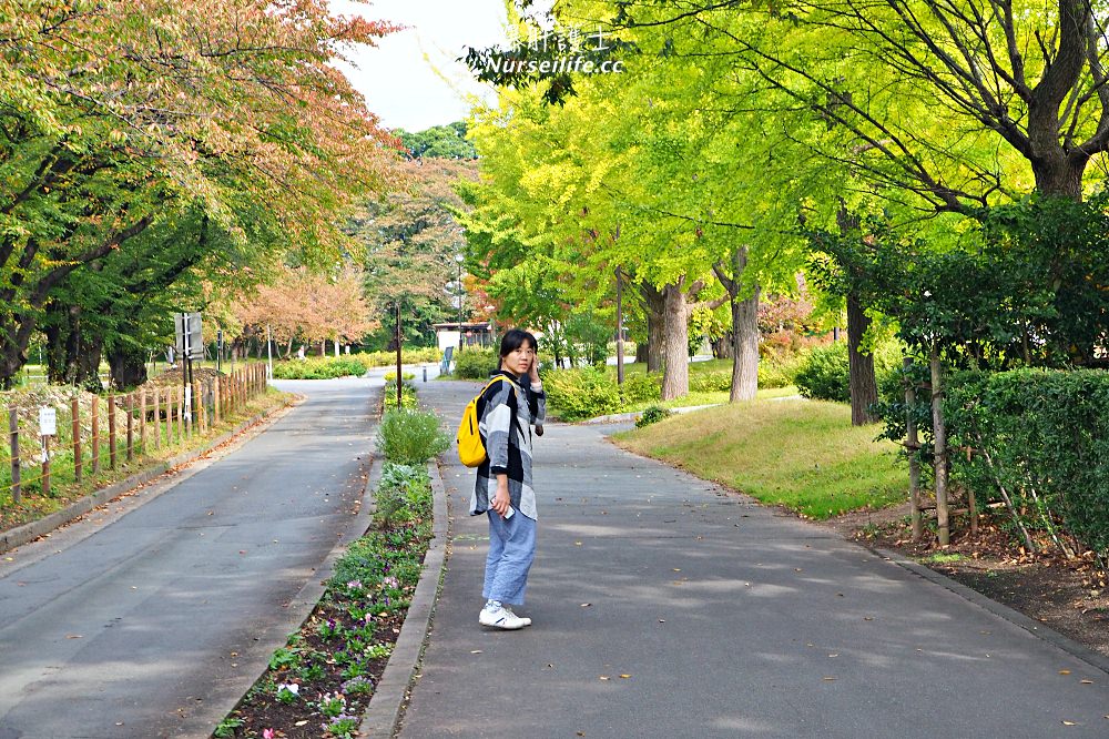 山形｜到霞城公園看紅葉？不，舊濟生館才是有趣的地方！ - nurseilife.cc