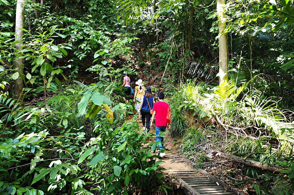 沙巴加雅島度假村．海島耍廢放空渡假三天兩夜之旅 - nurseilife.cc