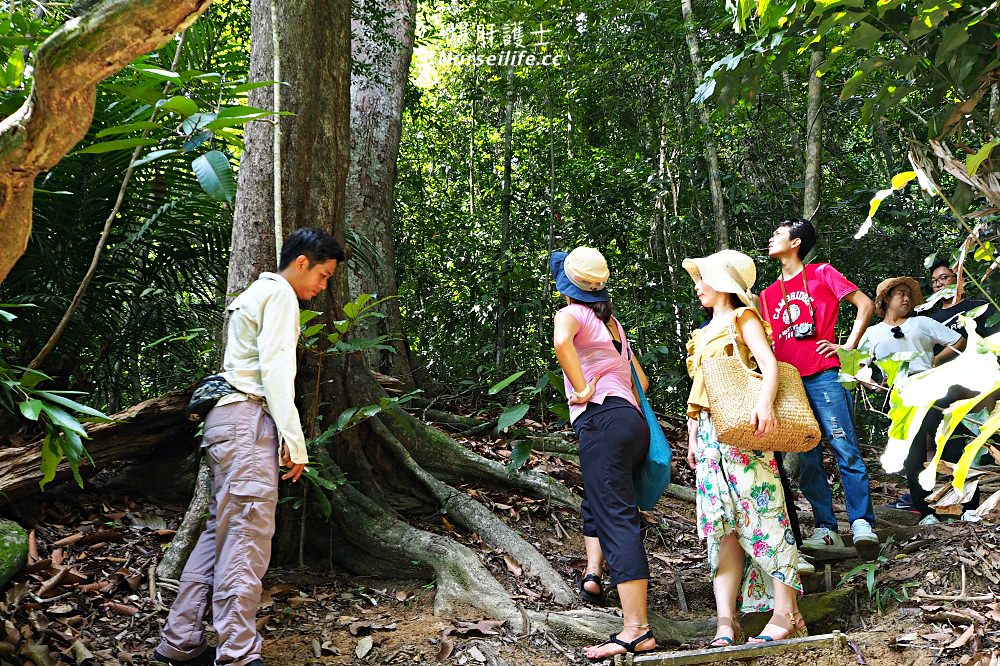 沙巴加雅島度假村．海島耍廢放空渡假三天兩夜之旅 - nurseilife.cc