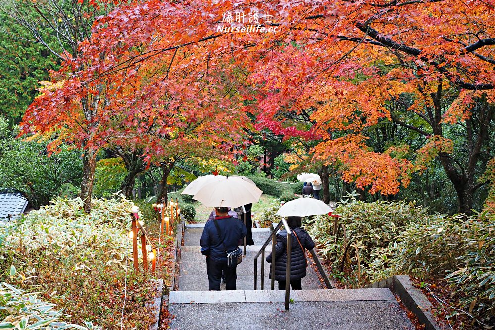 靜岡｜修善寺虹之鄉．伊豆最大的賞楓庭園 - nurseilife.cc