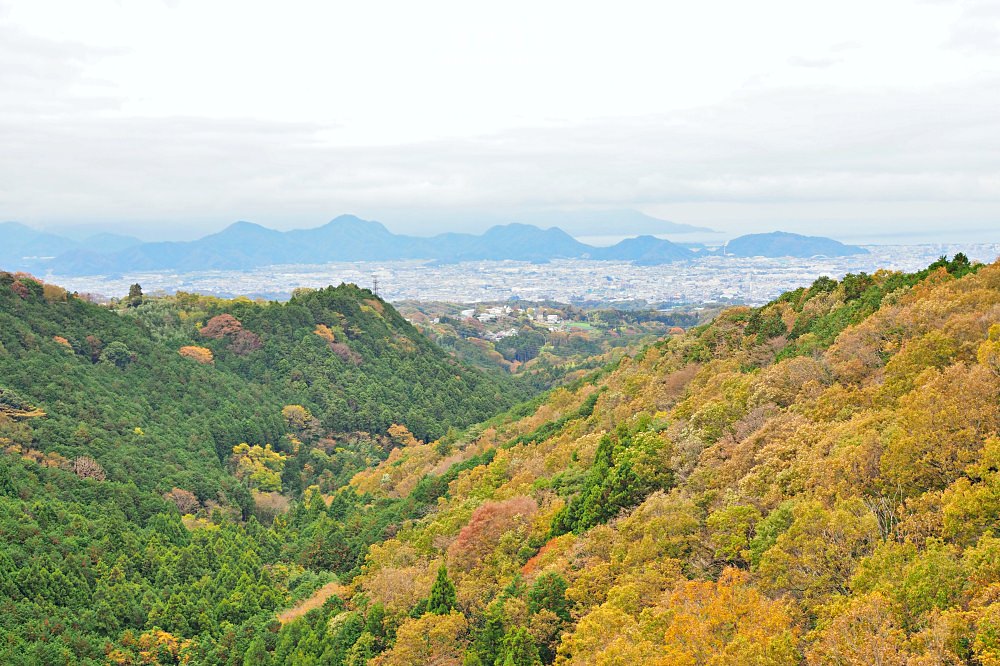 靜岡｜三島大吊橋（天空步道）．充滿體驗活動的日本第一長的吊橋 - nurseilife.cc