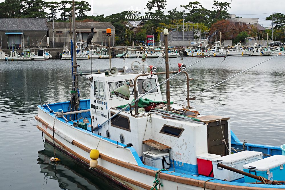 太便宜！靜岡人想要吃海鮮就會到【沼津港】還可以吃到特別的深海魚！ - nurseilife.cc