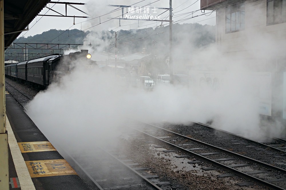 靜岡｜大井川鐵道Thomas蒸氣火車之旅 - nurseilife.cc