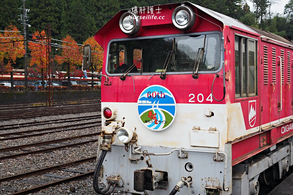 靜岡｜大井川鐵道Thomas蒸氣火車之旅 - nurseilife.cc