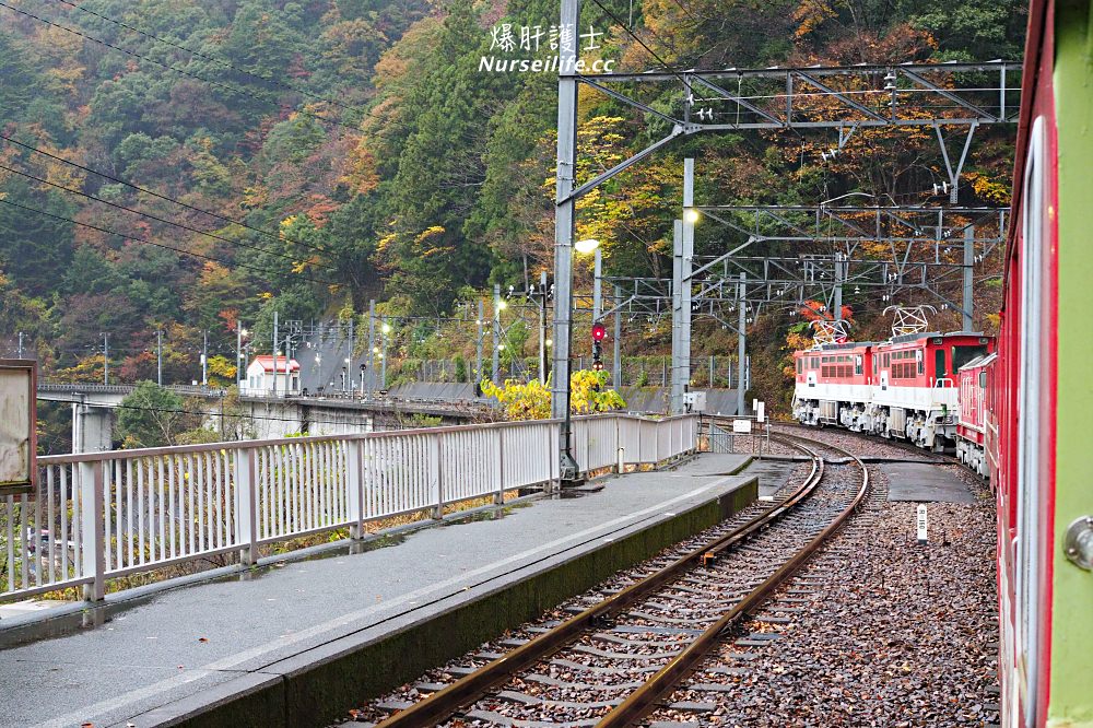 靜岡｜大井川鐵道Thomas蒸氣火車之旅 - nurseilife.cc