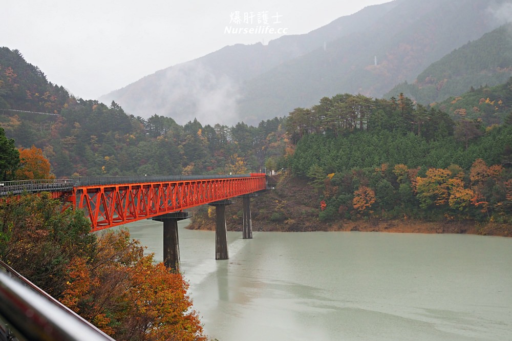 靜岡｜大井川鐵道Thomas蒸氣火車之旅 - nurseilife.cc